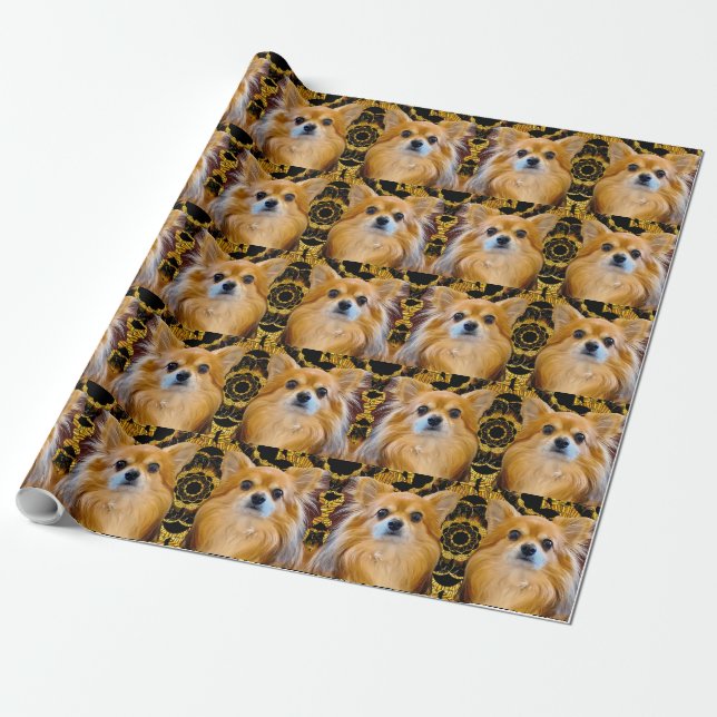 Longhair Chihuahua pom-chi Spitz Geschenkpapier (Ungerollt)