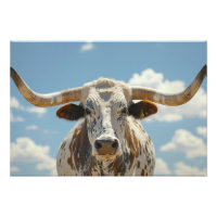 Longhorn Bull