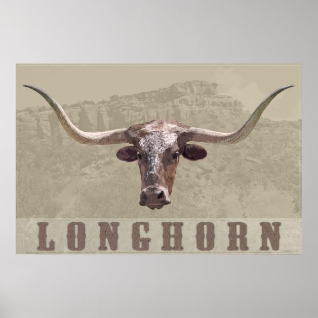 Longhorn Country Poster -60x40 - andere Größen (Vorne)