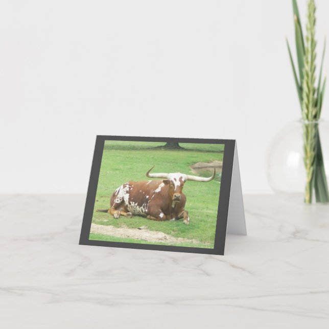 Longhorn Note Card Karte (Vorderseite)