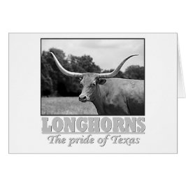 Longhorn_pride