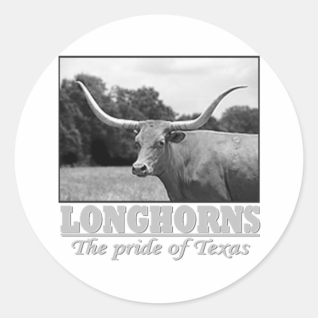 Longhorn_pride Runder Aufkleber (Vorderseite)