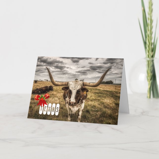 Longhorn Texas Weihnachtskarte Gruß Dankeskarte (Vorderseite)