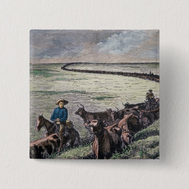 Longhorn-Vieh fährt von Texas nach Abilene, Kansa Button (Vorderseite)