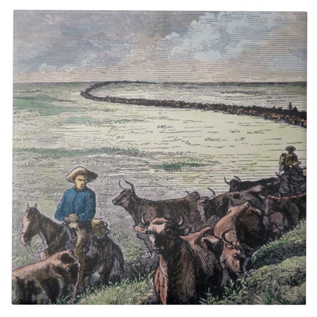 Longhorn-Vieh fährt von Texas nach Abilene, Kansa Fliese (Vorderseite)
