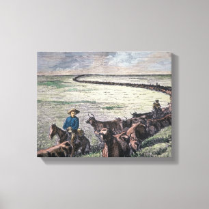 Longhorn-Vieh fährt von Texas nach Abilene, Kansa Leinwanddruck