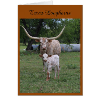 Longhorns du Texas