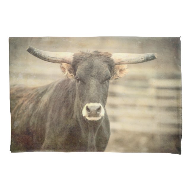 LONGHORSTEER-PILLOWCASE KISSENBEZUG (Vorderseite)