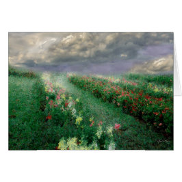 Longview Blume Mindscape