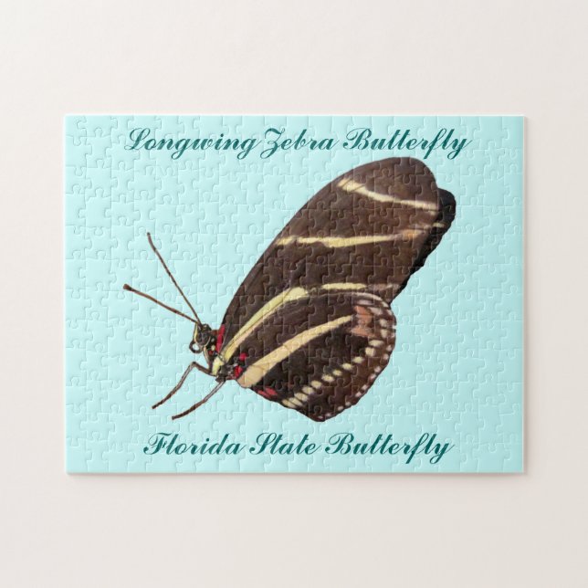 Longwing Zebra Butterfly von Florida (Horizontal)