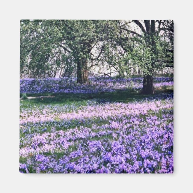 Longwood Gardens im Frühjahr Magnet (Vorne)