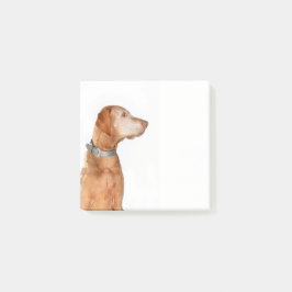 Look at this! post-it klebezettel
