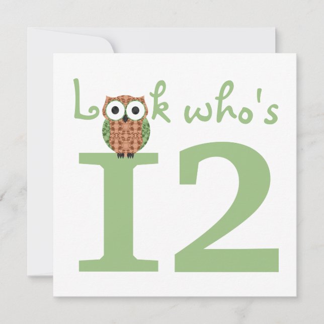 Look Who's 12 Owl Birthday Party Einladung (Vorderseite)