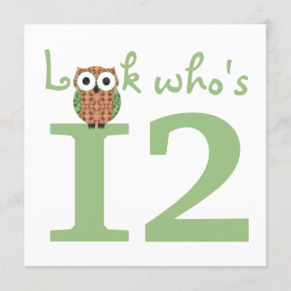 Look Who's 12 Owl Birthday Party Einladung