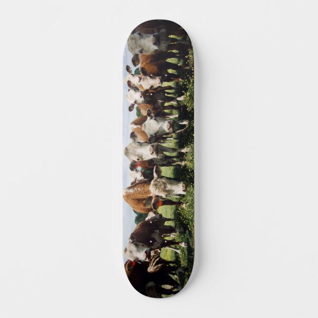 Lookie Here Cowabunga Skateboard (Vorderseite)