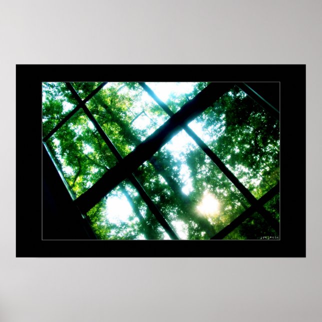looking for freedom poster (Vorne)