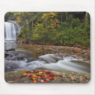 Looking Glass Falls im Pisgah National Mousepad