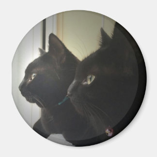 looking out the window magnet