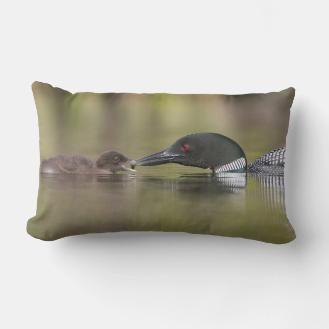 Loon Adult Füttre Chick Lendenkissen (Vorderseite)