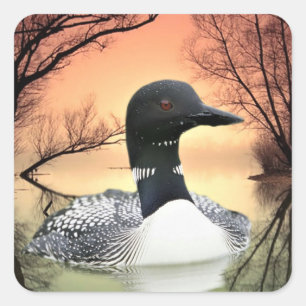 Loon am Lago Loon Reflections Ruf of the Loon Quadratischer Aufkleber