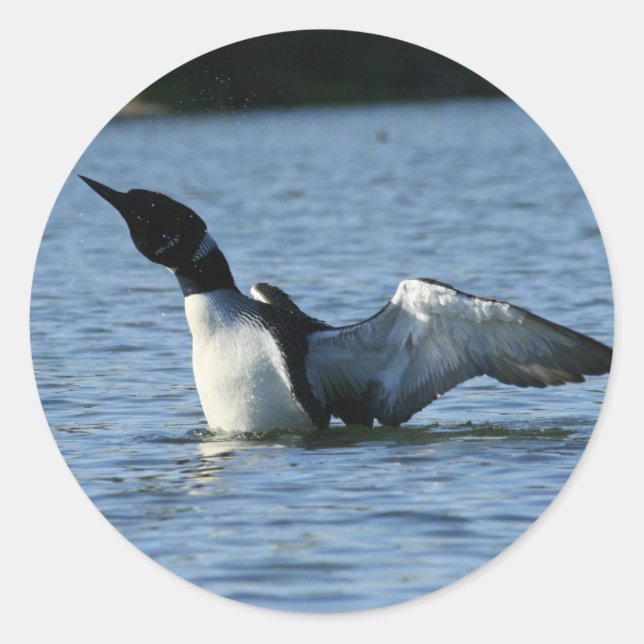 Loon Aufkleber (Vorderseite)