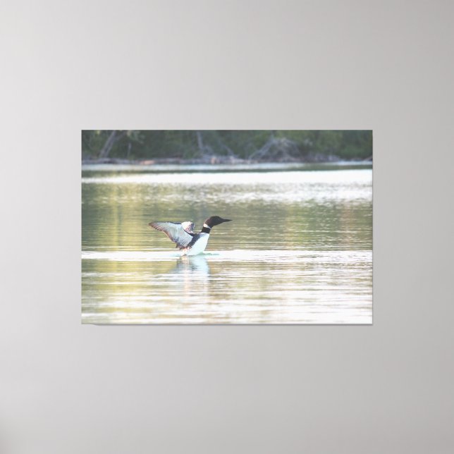 Loon Canvas Print Leinwanddruck (Vorderseite)