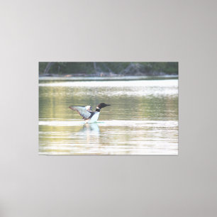 Loon Canvas Print Leinwanddruck