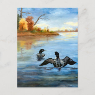 Loon Dance II Postcard Postkarte