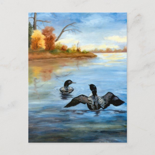 Loon Dance II Postcard Postkarte (Vorderseite)