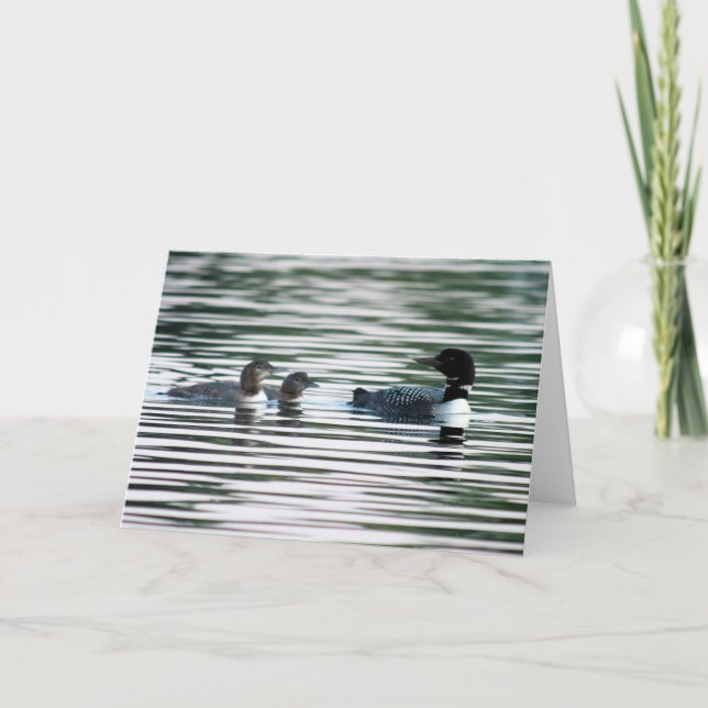 Loon Family Grußkarte Karte (Vorderseite)