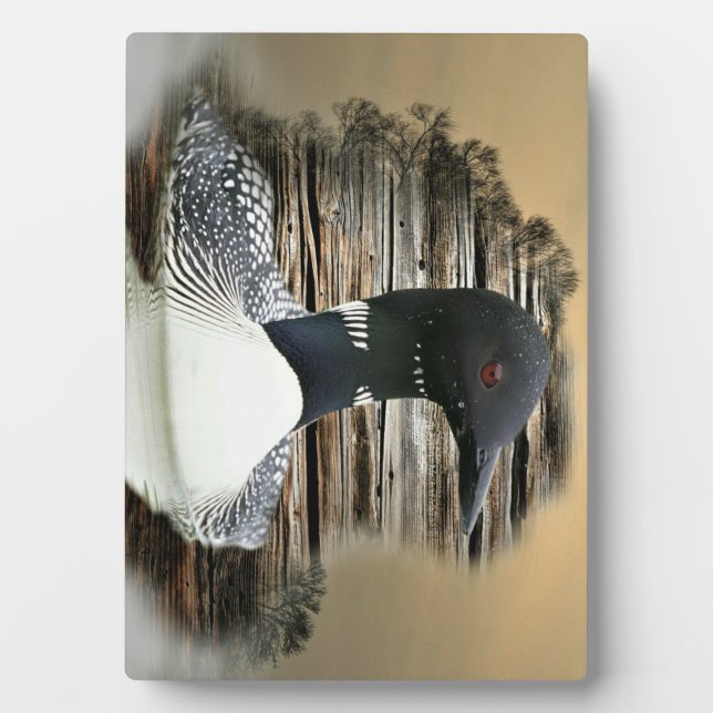 Loon Fotoplatte (Vorderseite)