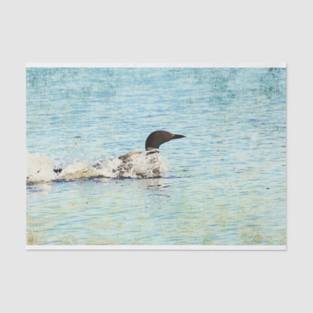 Loon Lake Tissue Paper Seidenpapier (Vorderseite)