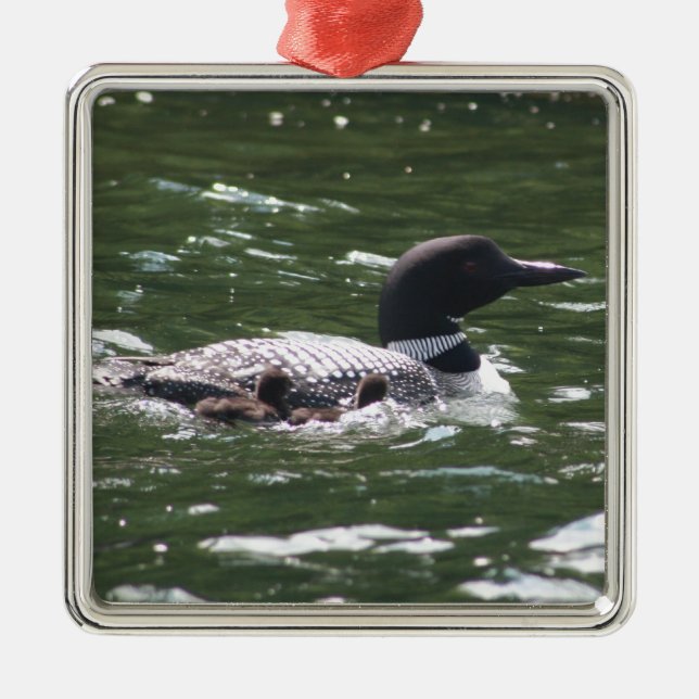 Loon mit Babys 2 Ornament Aus Metall (Vorne)