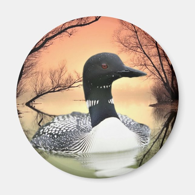 Loon Reflections Magnet (Vorne)