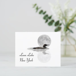 Loon Swims im Mondlicht Postkarte
