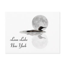 Loon Swims im Mondlicht Postkarte