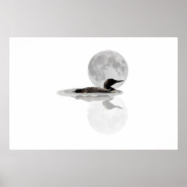 Loon Swims in Mondlicht-Poster Poster