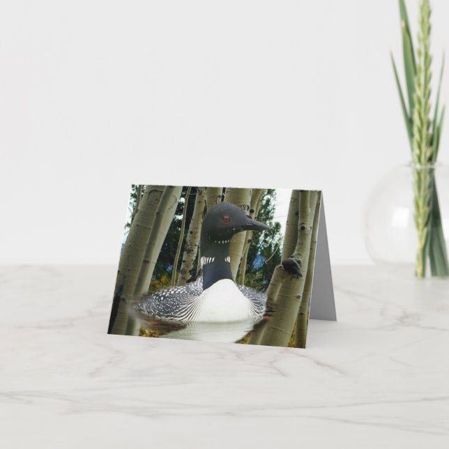 Loon Wilderness Dankeskarte (Vorderseite)