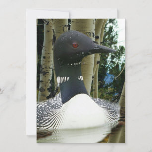 Loon Wilderness Einladung