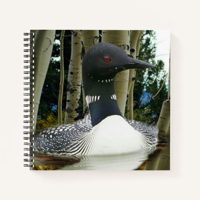 Loon Wilderness Notizbuch (Vorderseite)