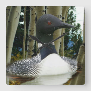 Loon Wilderness Quadratische Wanduhr