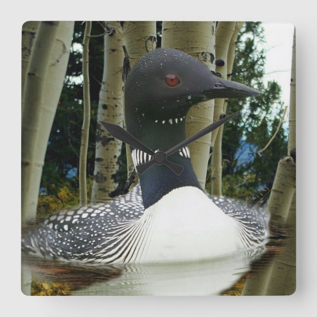 Loon Wilderness Quadratische Wanduhr (Vorderseite)