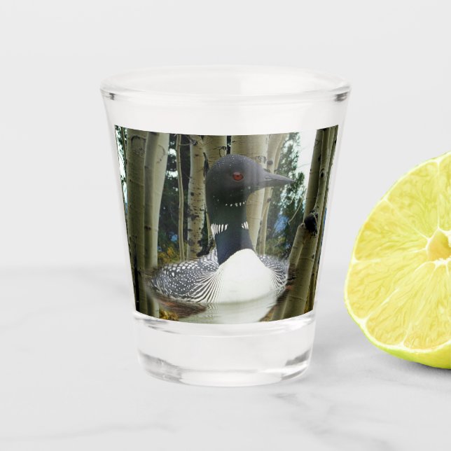 Loon Wilderness Schnapsglas (Vorderseite)