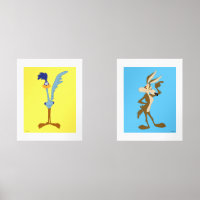 LOONEY TUNES™ ROAD RUNNER™ & WILE E. COYOTE™
