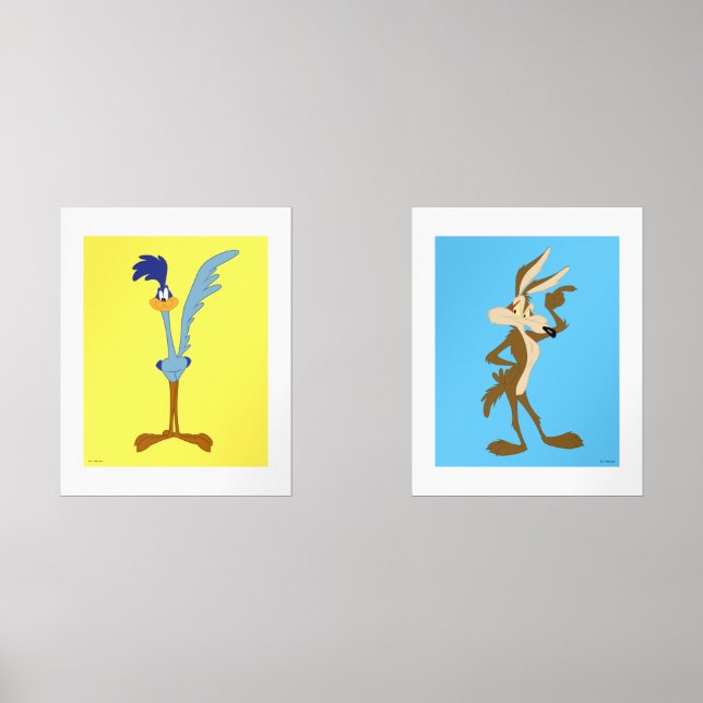 LOONEY TUNES™ ROAD RUNNER™ & WILE E. COYOTE™ (Recto)