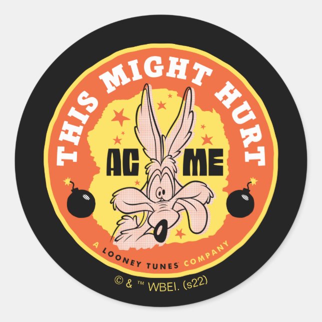LOONEY TUNES™ | WILE E. COYOTE™ Dies könnte Schade Runder Aufkleber (Vorderseite)