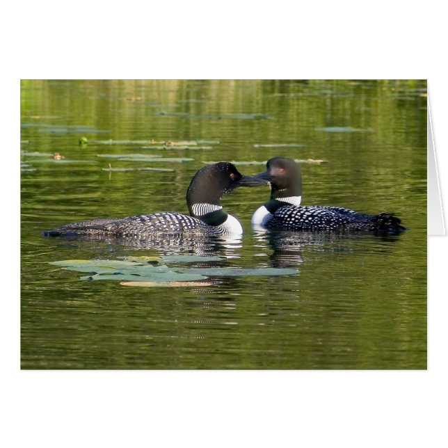 Loons (Devant horizontal)