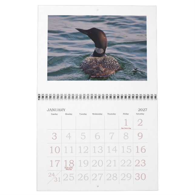 Loons auf dem Rideau Kalender (Jan 2027)