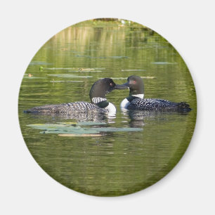 Loons Magnet
