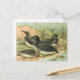 Loons Vintag Bird Illustration Postkarte (Vorderseite/Rückseite Beispiel)
